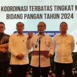 Pemerintahan Prabowo-Gibran Jaga Stok Pangan Jelang Nataru 2024