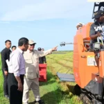 Sinergi Pemerintah dan Masyarakat dalam Mewujudkan Swasembada Pangan dan Energi