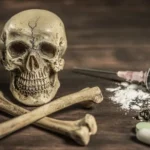 Pemerintah Komitmen Wujudkan Indonesia Bebas Narkoba