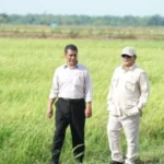 Pemerintah Lakukan Sejumlah Langkah Strategis Wujudkan Swasembada Pangan