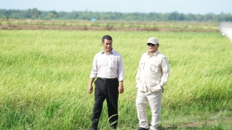 Pemerintah Lakukan Sejumlah Langkah Strategis Wujudkan Swasembada Pangan