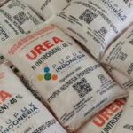 Presiden Prabowo Pastikan Penyaluran Pupuk Subsidi Lebih Cepat dan Tepat Sasaran