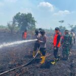 Pemerintah Larang Pembakaran Lahan karena Risiko Karhutla Meningkat Tinggi