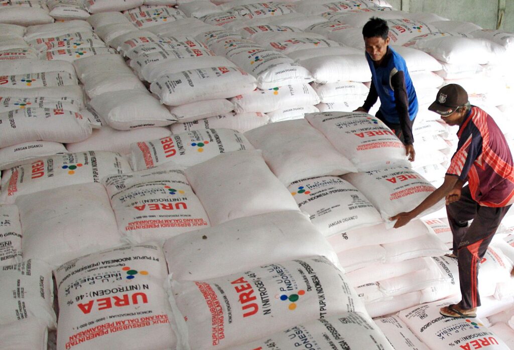 Ketersediaan Pupuk Kunci Wujudkan Ketahanan Pangan