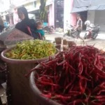 Menjelang Ramadan, Pemerintah Jaga Rantai Distribusi agar Harga Pangan Stabil