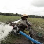 Indonesia Tak Bergantung Impor Lagi! Swasembada Pangan dan Air Presiden Prabowo Tuai Pujian