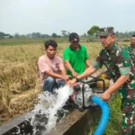 Kebijakan Swasembada Pangan dan Air Pemerintah Berada di Jalur Yang Benar