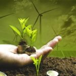 Pemerintah Mantapkan Komitmen Ekonomi Hijau pada COP 29