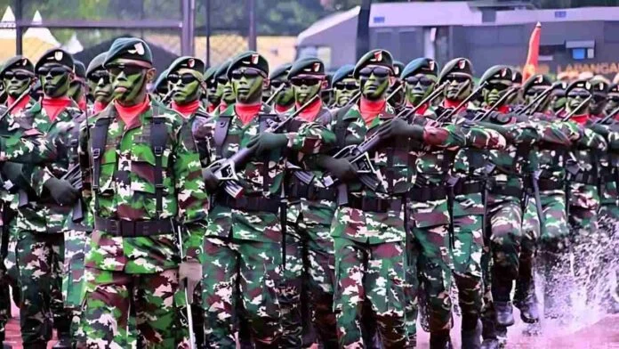 UU TNI Pastikan Keseimbangan Peran Militer dan Sipil