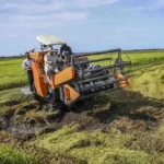 Pemerintah Luncurkan Sejumlah Langkah Strategis Percepat Swasembada Pangan dan Energi