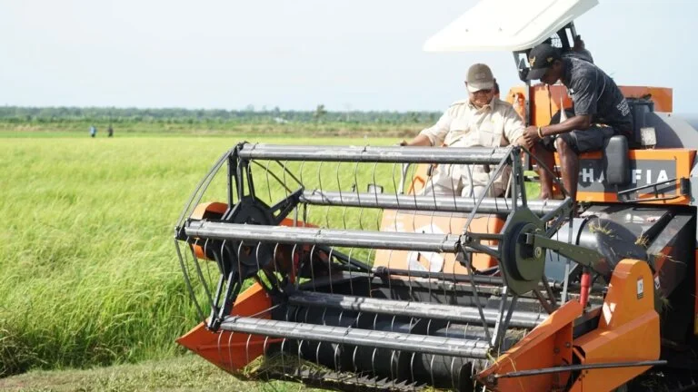 Pemerintah Terus Lakukan Percepatan Swasembada Pangan Papua