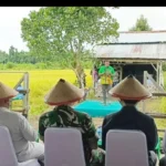 Program Swasembada Pangan Papua Berbasis Kearifan Lokal dan Karakteristik Wilayah