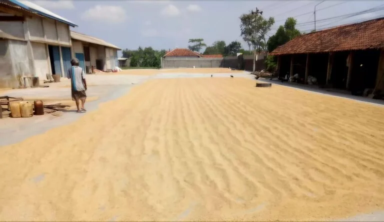 Apresiasi Komitmen Pemerintah Serap Gabah Hasil Panen di Berbagai Wilayah