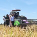 Hadiri Panen Raya Majalengka, Pemerintah Dukung Swasembada Pangan Berkelanjutan
