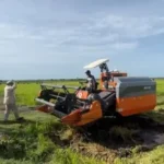 Sinergitas Pemerintah Pusat dan Pemerintah Daerah Wujudkan Swasembada Pangan Papua