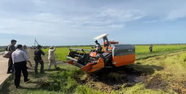 Sinergitas Pemerintah Pusat dan Pemerintah Daerah Wujudkan Swasembada Pangan Papua