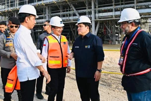 Hilirasi Komoditas Kelapa Strategi RI untuk Genjot Ekspor Unggulan