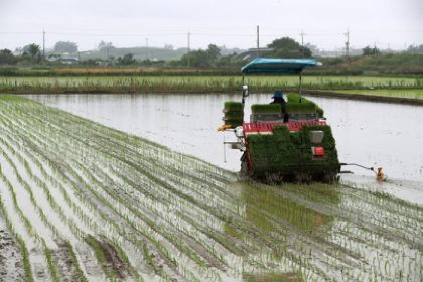 Pemerintah Selenggarakan Pelatihan Demi Tingkatkan Kompetensi untuk Mempercepat Swasembada Pangan