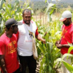 Langkah Nyata Pemerintah Wujudkan Ketahanan Pangan di Papua