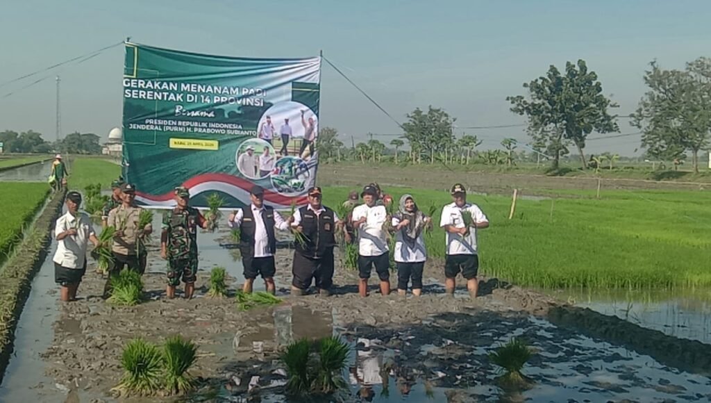 Gerakan Indonesia Menanam Dukung Swasembada Pangan Nasional