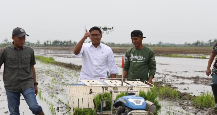 Pemerintah Perkuat Ketahanan Pangan Papua Lewat Perluasan Lahan dan Sinergi Distribusi