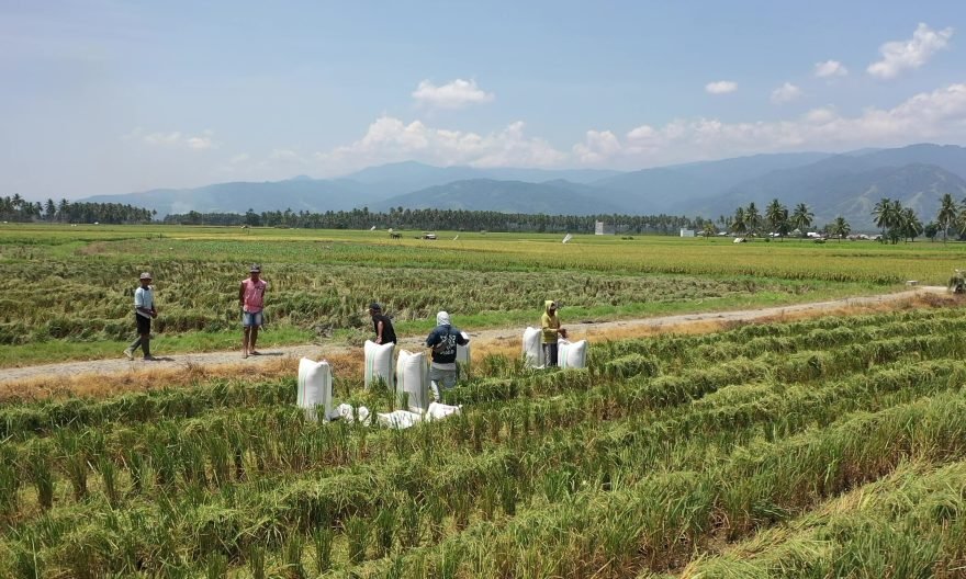 Mewujudkan Ketahanan Energi Nasional melalui Komitmen Swasembada Energi