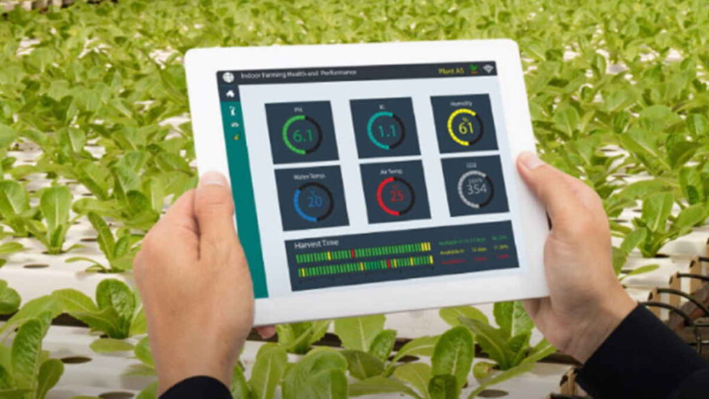 Pemerintah Adopsi Teknologi AI Percepat Swasembada Pangan