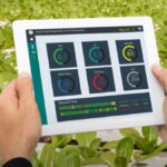 Pemerintah Adopsi Teknologi AI Percepat Swasembada Pangan