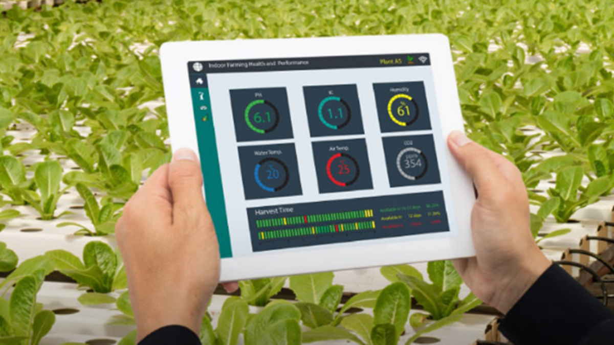 Pemerintah Adopsi Teknologi AI Percepat Swasembada Pangan