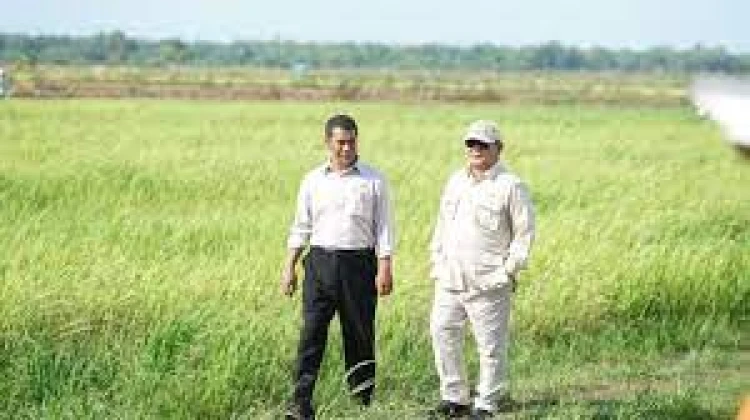 Pemerintah Fokuskan Swasembada Pangan Lewat Optimalisasi Lahan Nasional