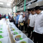 Pemerintah Fokus Tingkatkan Tata Kelola Program MBG