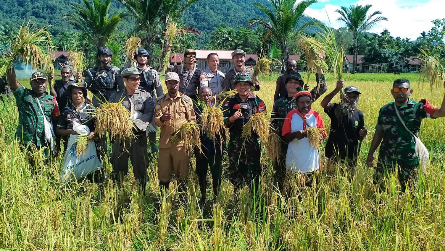 Ketahanan Pangan Papua Pilar Strategis Swasembada Nasional