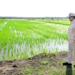 Pembaharuan Infrastruktur Dukung Program Swasembada Pangan Pemerintah