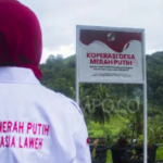 Pemerintah Pastikan Profesional Awasi Koperasi Merah Putih