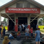 Koperasi Merah Putih sebagai Program Strategis Presiden Prabowo untuk Penguatan Ekonomi