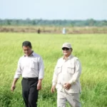 Cadangan Beras Capai 4 Juta Ton, Indonesia Raih status Swasembada Pangan