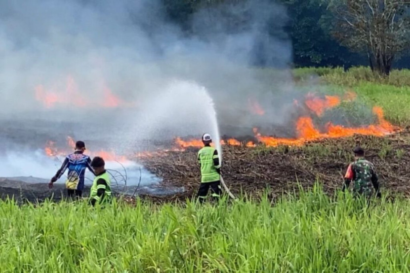 Pemerintah Dorong Peran Pengusaha Cegah Karhutla