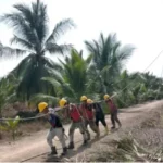 Listrik Desa Jadi Prioritas Pemerintah Menuju Pembangunan Inklusif