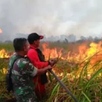 Pemerintah Terus Tingkatkan Kewaspadaan Potensi Karhutla