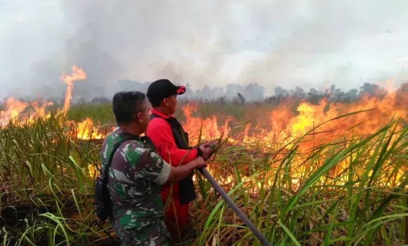 Pemerintah Terus Tingkatkan Kewaspadaan Potensi Karhutla