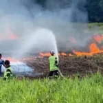 Waspada Musim Kemarau, Pemerintah Perkuat Mitigasi Karhutla