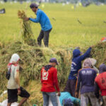 Swasembada Pangan dan Energi Jadi Pilar Kedaulatan Ekonomi Nasional