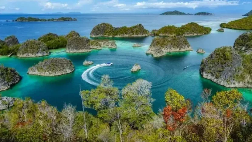 Pemerintah Resmi Cabut IUP tambang, Masyarakat Wajib Waspadai Hoaks