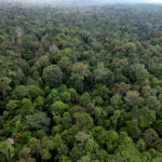 Pemerintah Komitmen Lindungi Kawasan Hutan Nasional