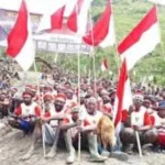 Teror OPM Jadi Ancaman Nyata Bagi Hak Asasi Manusia di Papua