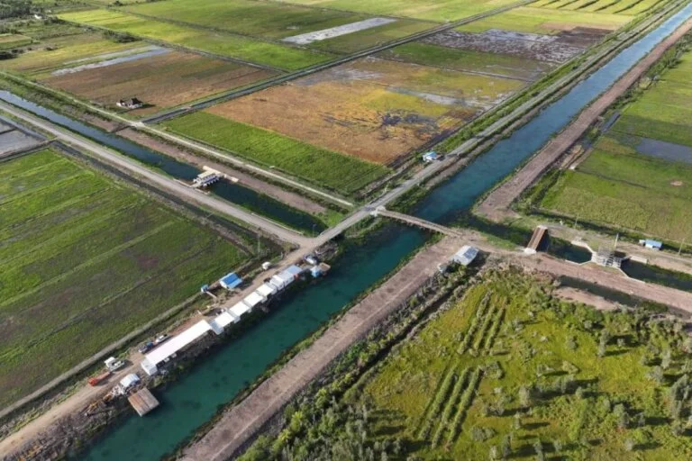 Swasembada Pangan Jadi Fokus Utama Pembangunan Infrastruktur Indonesia