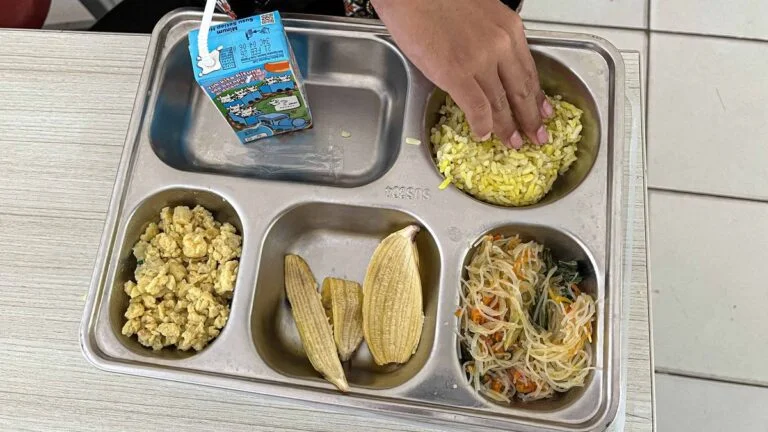 Pemerintah Pastikan Penanganan Optimal Dugaan Kasus Keracunan MBG di Kupang