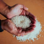 Pemerintah Tindak Tegas Pelaku Beras Oplosan