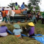 Transformasi Ekonomi Indonesia: Swasembada Pangan dan Energi Jadi Prioritas Strategis