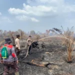 Mendukung Strategi Komprehensif Pemerintah Tangani Karhutla Riau
